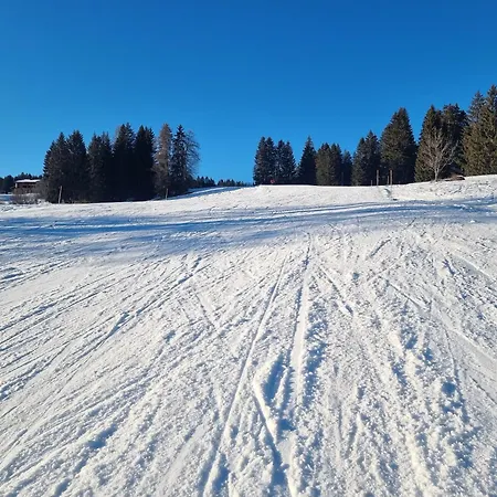 Fahren-schneeschuhwandern-langlauf Inkl Hallenbad
