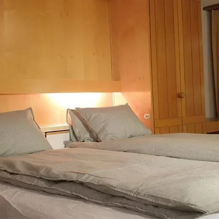 Fahren-schneeschuhwandern-langlauf Inkl Hallenbad Apartment *