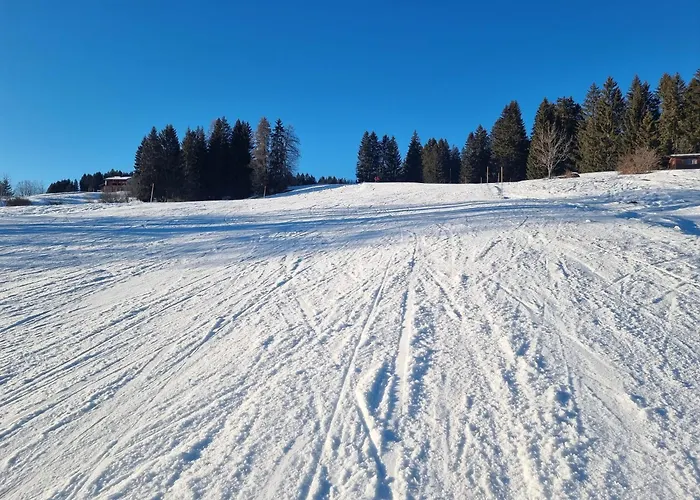 Fahren-schneeschuhwandern-langlauf Inkl Hallenbad