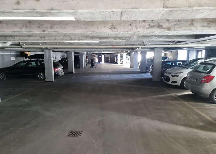 Fahren-schneeschuhwandern-langlauf Inkl Hallenbad Apartamento