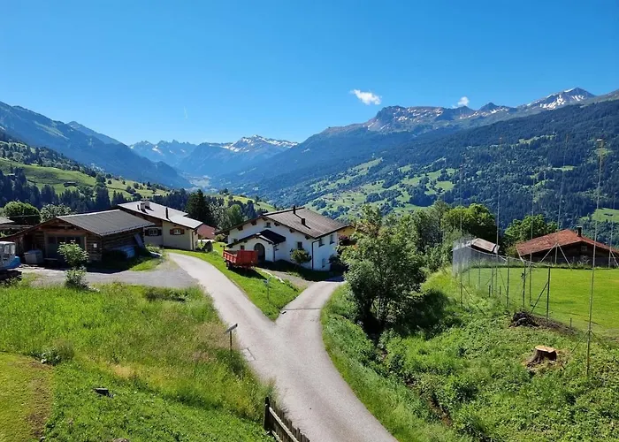 Fahren-schneeschuhwandern-langlauf Inkl Hallenbad Apartamento *