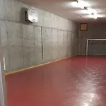 Appartement Fahren-schneeschuhwandern-langlauf Inkl Hallenbad *